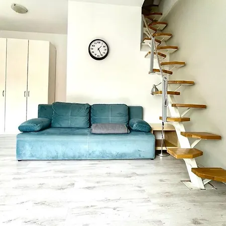 In The Center Of Apartment